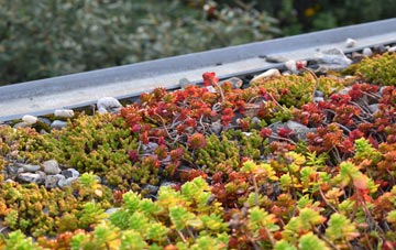 the cost of Twatt green roof installation